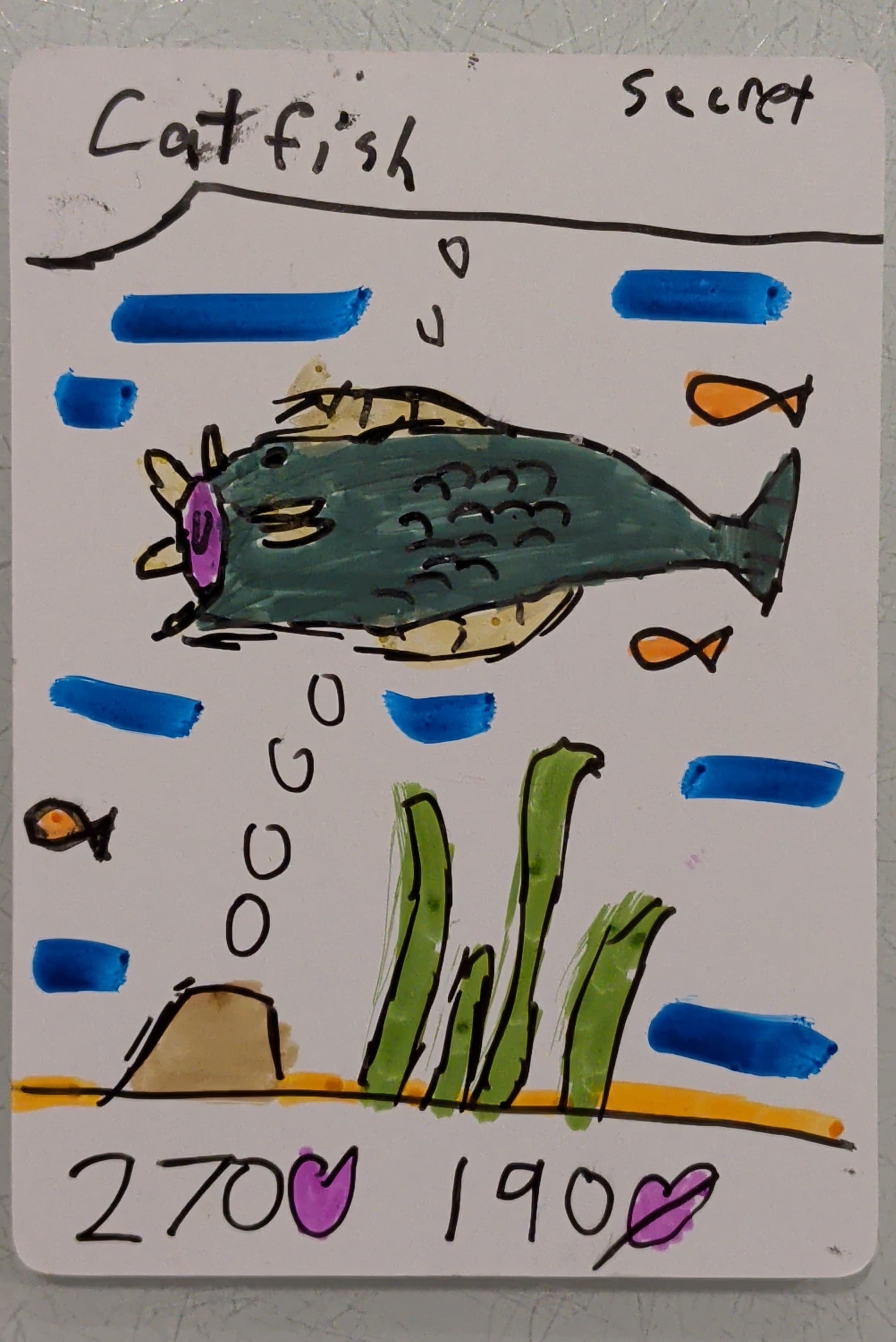 Catfish